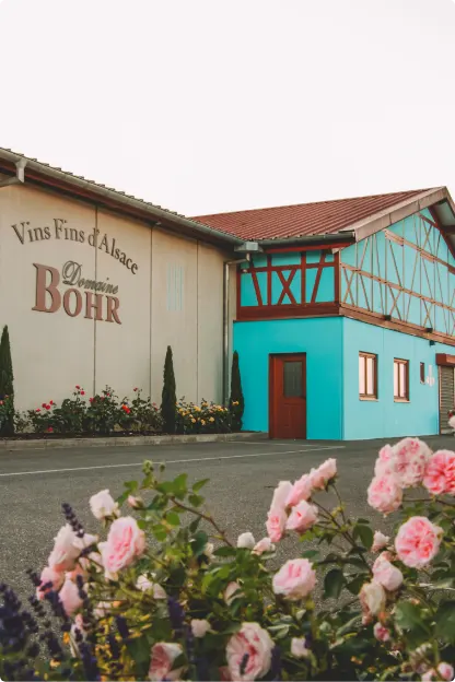 Domaine Bohr - Our history